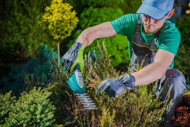 landscaping services Como